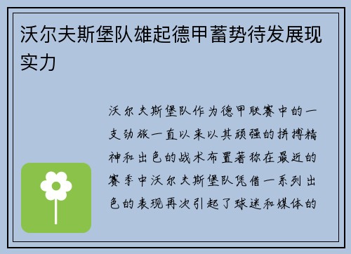 沃尔夫斯堡队雄起德甲蓄势待发展现实力