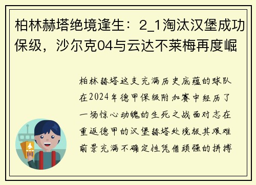 柏林赫塔绝境逢生：2_1淘汰汉堡成功保级，沙尔克04与云达不莱梅再度崛起