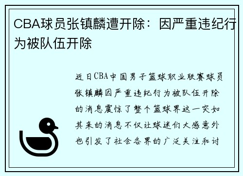 CBA球员张镇麟遭开除：因严重违纪行为被队伍开除