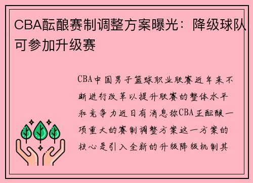 CBA酝酿赛制调整方案曝光：降级球队可参加升级赛